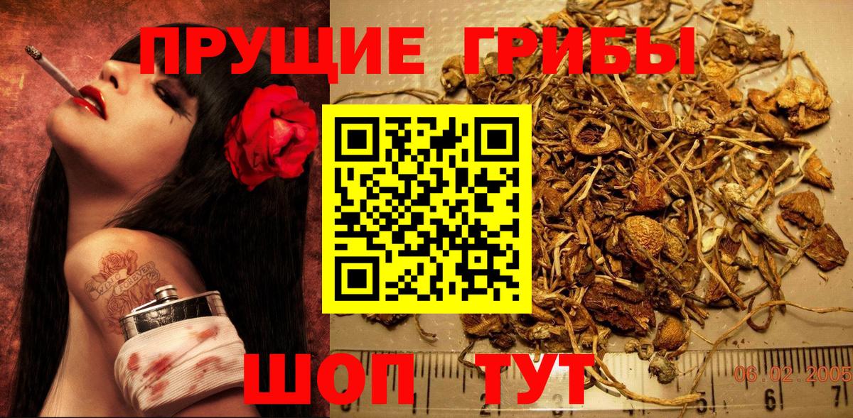 Карасук  Галлюциногенные грибы ЛСД  Вход с VPN 